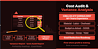 do cost audit, variance analysis, and profitability improvement