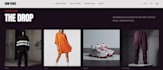 build a high converting shopify dropshipping store or ecommerce website