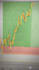 provide analysis  xauusd white nasdaq