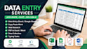 do fast and accurate data entry, exel, copy paste