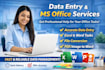 professional data entry, typing, and ms office work