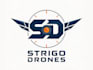 do make an excellent strigo drones logo
