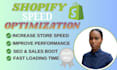 do shopify speed optimization, shopify store speed, shopify pagespeed