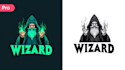 make an amazing wizard logo with express delivery