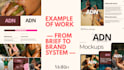 design a complete brand identity system for your brand