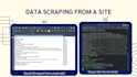 scrape data from any website using python