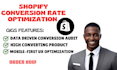 do shopify cro audit and conversion rate optimization for sales generation