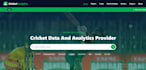 do frontend web development, custom website backend