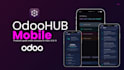 do customization module and implement odoo erp