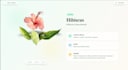 develop full stack mern web app with frontend and backend