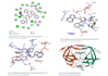 perform molecular docking admet prediction and MD simulation for drug discovery