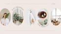 design or redesign site123 website with SEO and wordpress website optimization