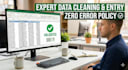superfast data entry professionally with accuracy