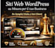 realizzo siti wordpress responsive ed ottimizzati tempi rapidi