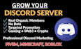 discord promotion, disocrd advertising, fivem minecraft server promotion growth,