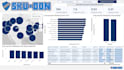 create a professional power bi dashboard