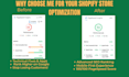 do shopify speed optimization, cro audit, shopify audit, ecommerce seo