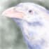 draw animal portrait for you