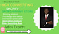 build a high converting shopify dropshipping store