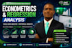 do regression analysis, econometrics projects, and excel data analysis