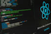 mern stack developer for custom web app development
