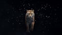 do 3d animation, 3d animal modeling, rigging and kids animation video