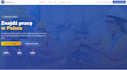 do web site custome