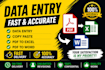 do fast data entry, copy paste ,PDF to word and excel