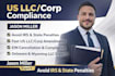 do US llc or corp amendment, reinstatement and dissolution to avoid penalties