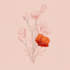 design best botanical line art  illustration