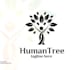 create a unique tree of life logo