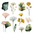 create a botanical illustration in the traditional