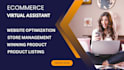 be shopify ecommerce virtual assistant shopify manager