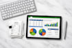 assist with financial data entry and excel