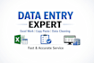 excel data entry and data cleaning