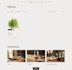 create shopify website with built in automation