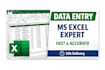 do accurate data entry, excel reports and purchase order management