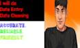 do data cleaning, data entry