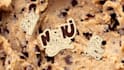 modern brand identity for bakery and cookie brands