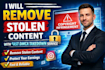 permanently remove stolen content with fast dmca takedown service