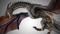 do 3d animal model, creature model, monster, dragon with rigging and animation