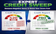 perform a professional metro 2 credit sweep