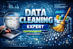 do data cleaning expert
