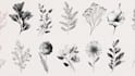design a hand drawn botanical boho logo