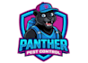 design modern panther logo