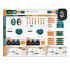do excel data visualisation, data cleaning, PDF to excel