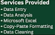 data entry, data cleanup and data analysis