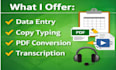 do fast and accurate data entry and transcription