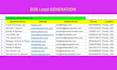 provide high quality b2b lead generation and web research