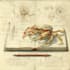 design a scientific illustration